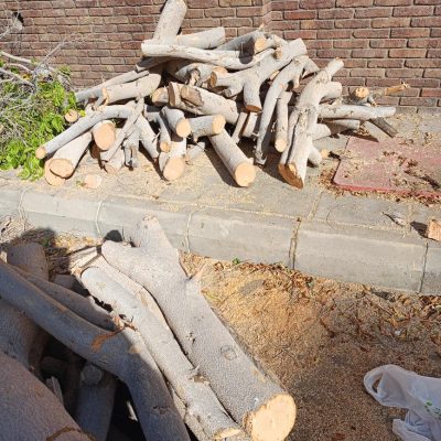 تكريب-نخيل-13