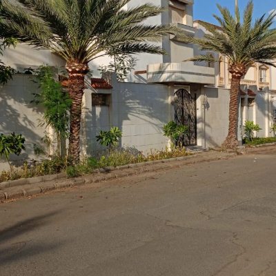 تكريب-نخيل-28