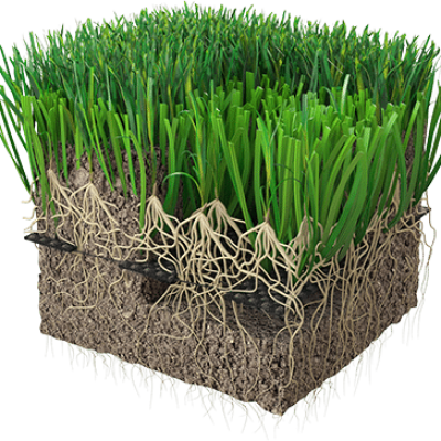 عشب-طبيعي-الرياض-1