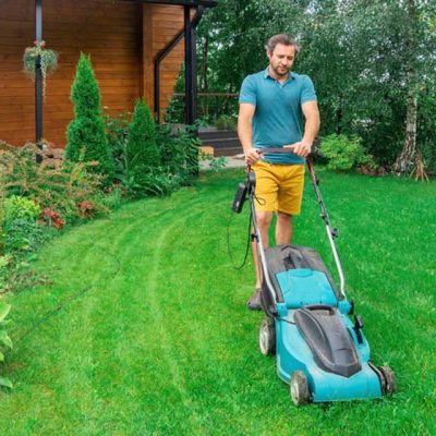 عشب-طبيعي-الرياض-15